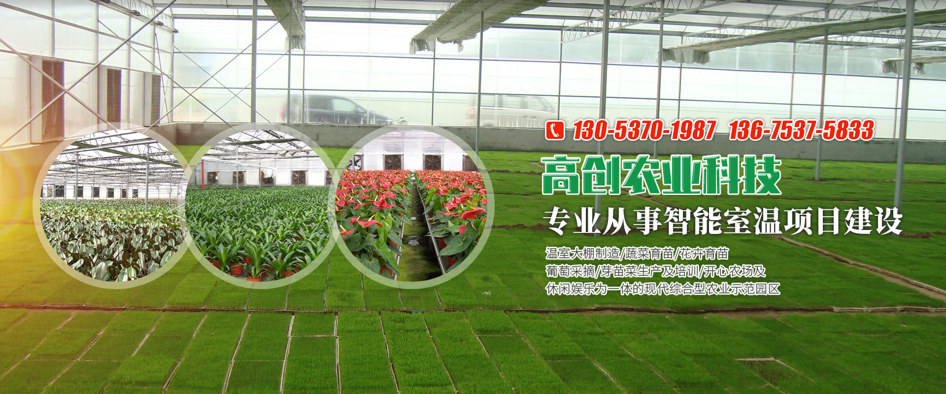 <strong>濟(jì)寧藝水芳源生態(tài)水族設(shè)備有限公司</strong>