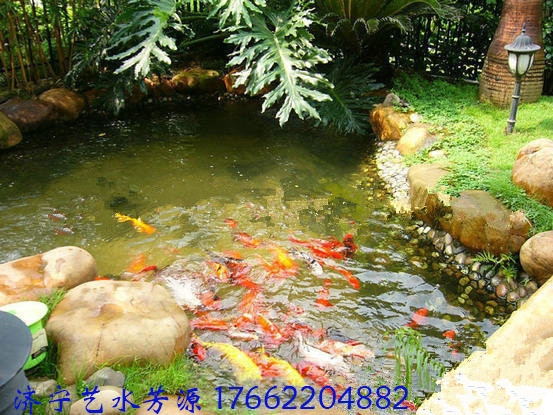 你知道別墅魚池水處理設(shè)備的有什么優(yōu)勢(shì)？