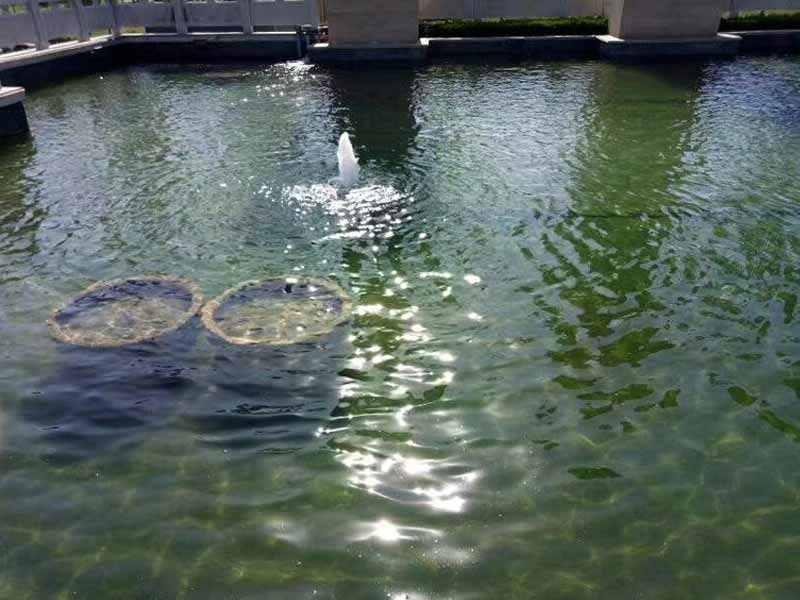 魚池過濾器客戶實(shí)地效果展示