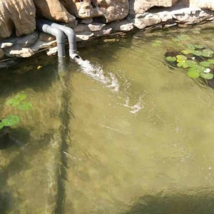魚(yú)池過(guò)濾器客戶(hù)實(shí)地效果展示